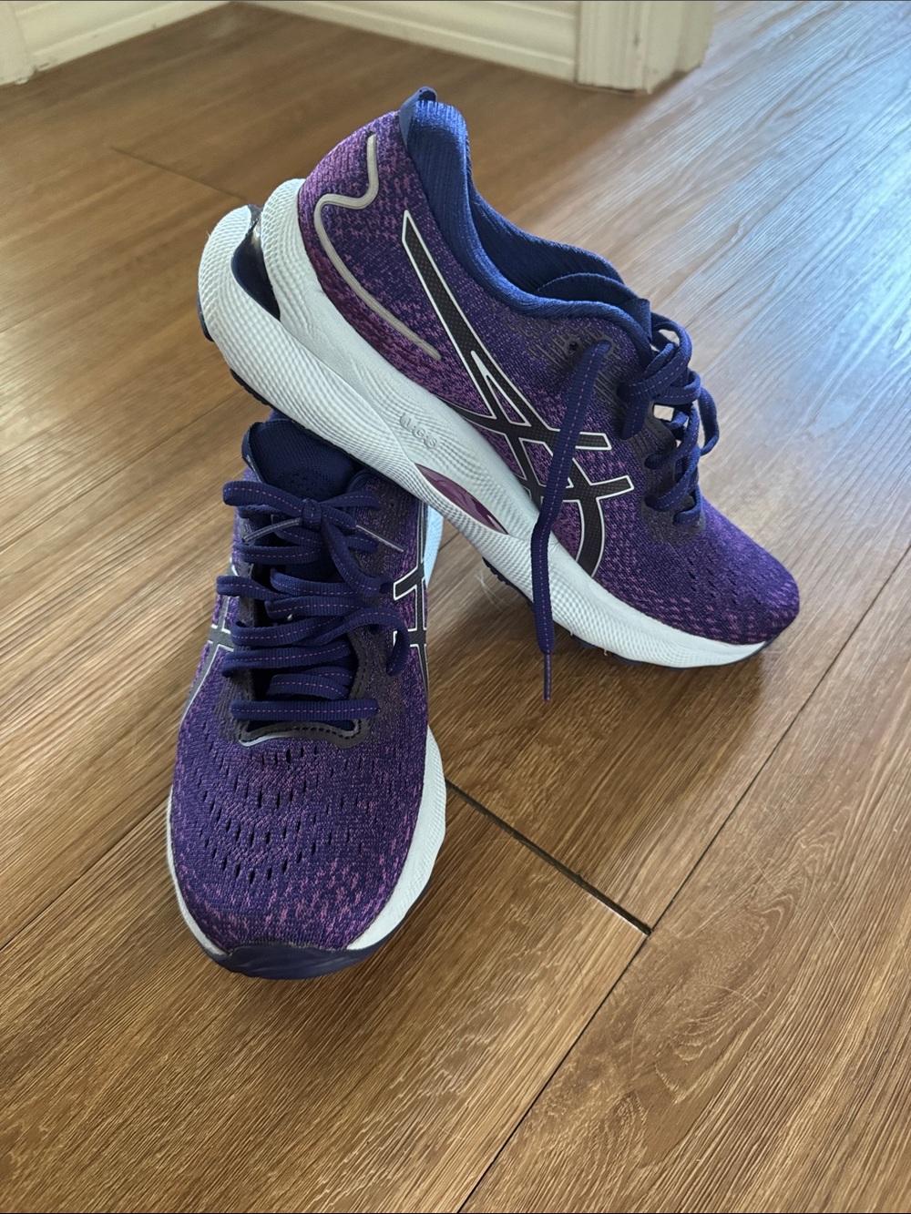 ASICS Gel-Nimbus 24 FF Blast+ Comfort